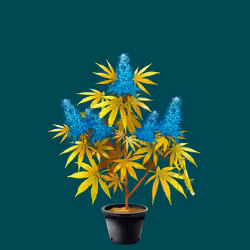 NFTokin #9557