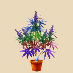 NFTokin #7313