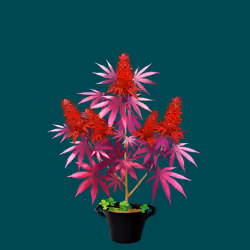 NFTokin #10394