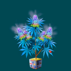 NFTokin #8879