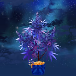 NFTokin #10028