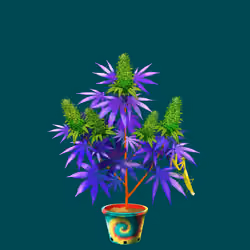 NFTokin #9901