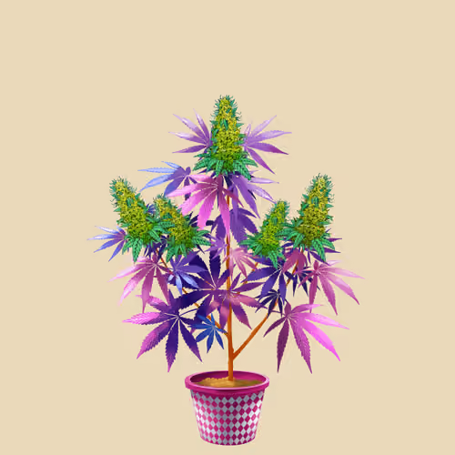 NFTokin #12794