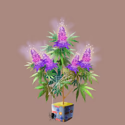NFTokin #12329