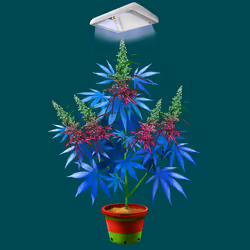 NFTokin #1931