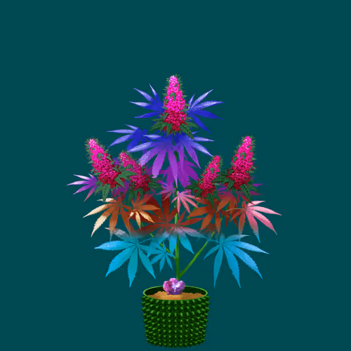 NFTokin #12736