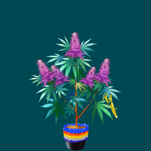NFTokin #11271