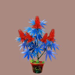 NFTokin #4971
