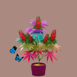 NFTokin #5246