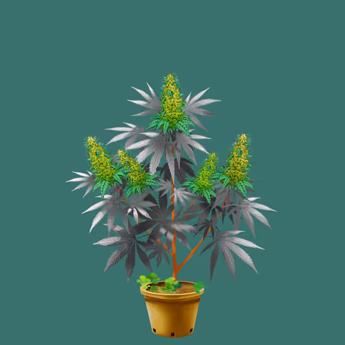NFTokin #9980