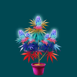 NFTokin #4975
