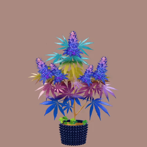 NFTokin #4205