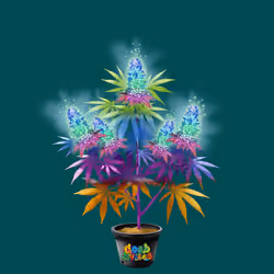 NFTokin #1300