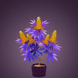 NFTokin #2950
