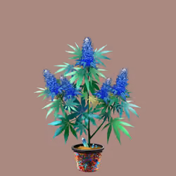 NFTokin #8540