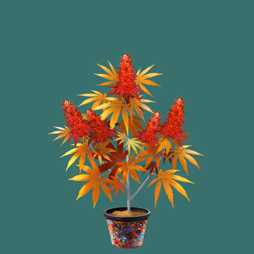 NFTokin #10521