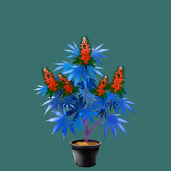 NFTokin #5466