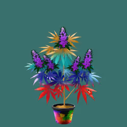 NFTokin #10826