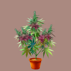 NFTokin #3139