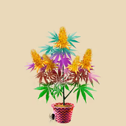 NFTokin #8439