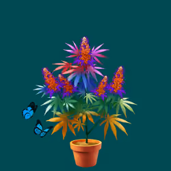 NFTokin #7797