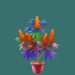 NFTokin #560
