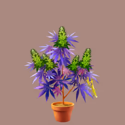 NFTokin #2952