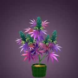 NFTokin #11140