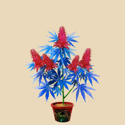 NFTokin #1500