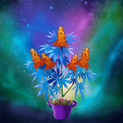 NFTokin #8986