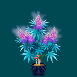 NFTokin #8443