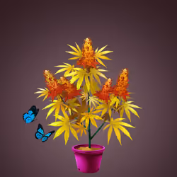 NFTokin #5660