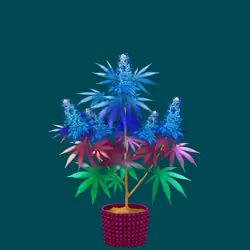 NFTokin #2730