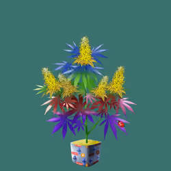 NFTokin #4135