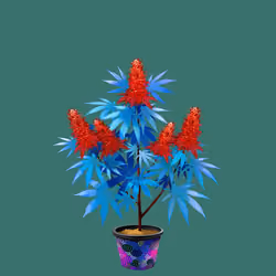 NFTokin #191