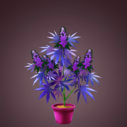NFTokin #2113