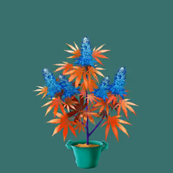 NFTokin #1574