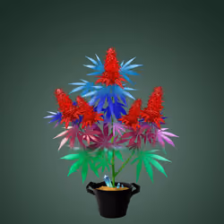 NFTokin #5292
