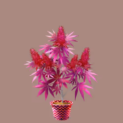 NFTokin #408