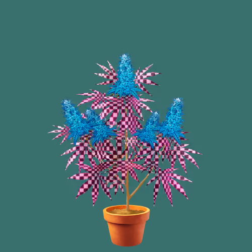 NFTokin #11853