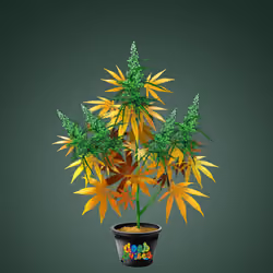 NFTokin #4846