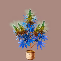 NFTokin #4942