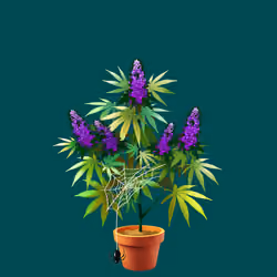 NFTokin #7094