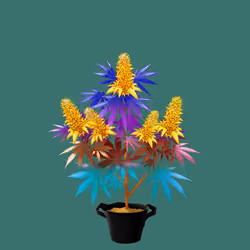NFTokin #1720