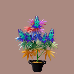 NFTokin #10277