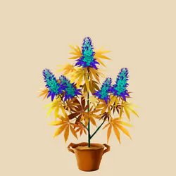 NFTokin #10158