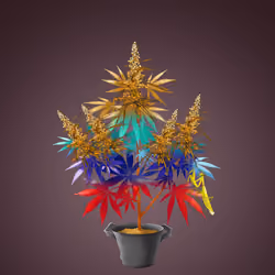 NFTokin #11727