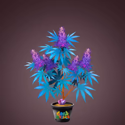 NFTokin #5613