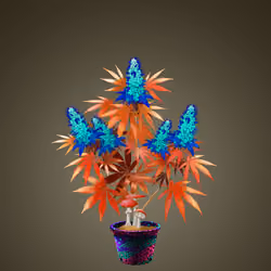 NFTokin #3572