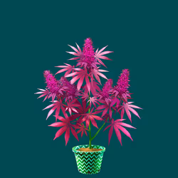 NFTokin #4858